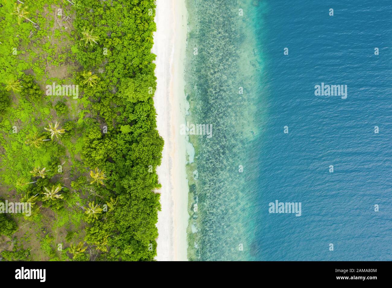 View from above, stunning aerial view of a green coast with coconut palm trees and a beautiful white sand beach bathed by a turquoise sea. Stock Photo