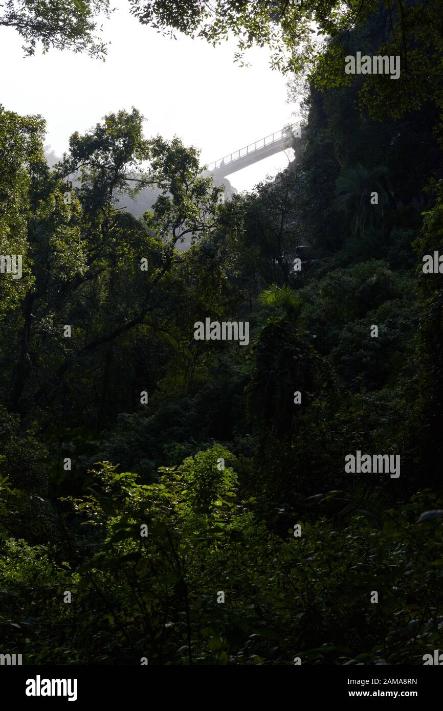 View of the Knife's Edge bridge at Victoria falls from the Boiling Pot