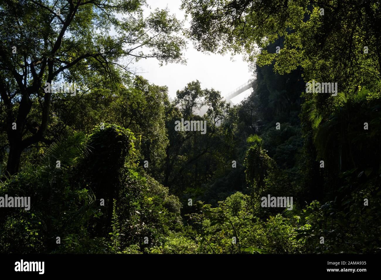 View of the Knife's Edge bridge at Victoria falls from the Boiling Pot