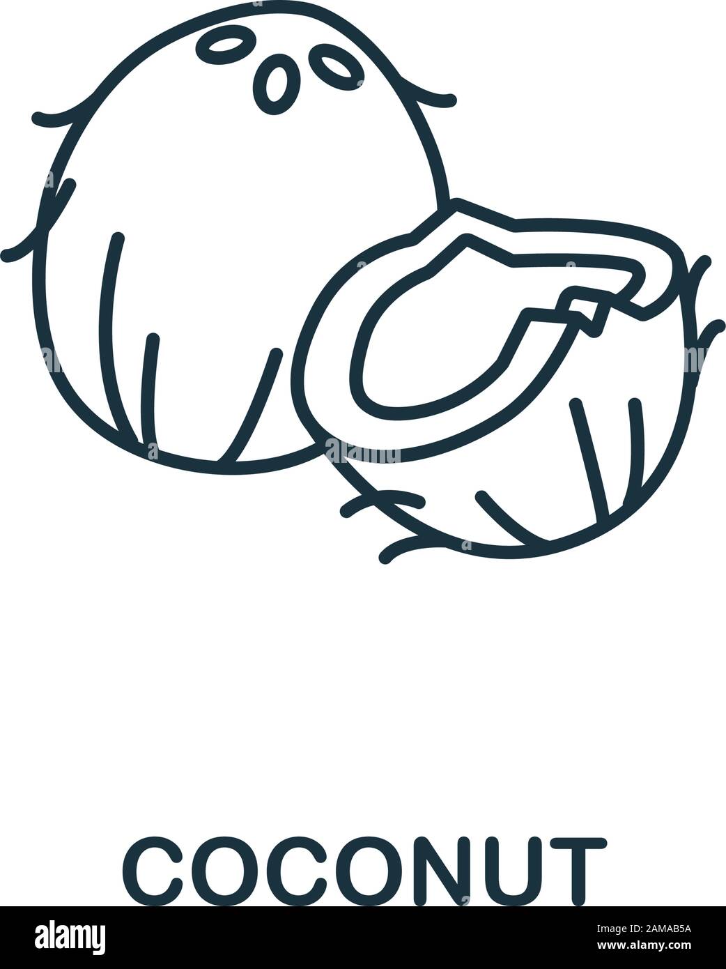 Coconut icon from fruits collection. Simple line element coconut symbol