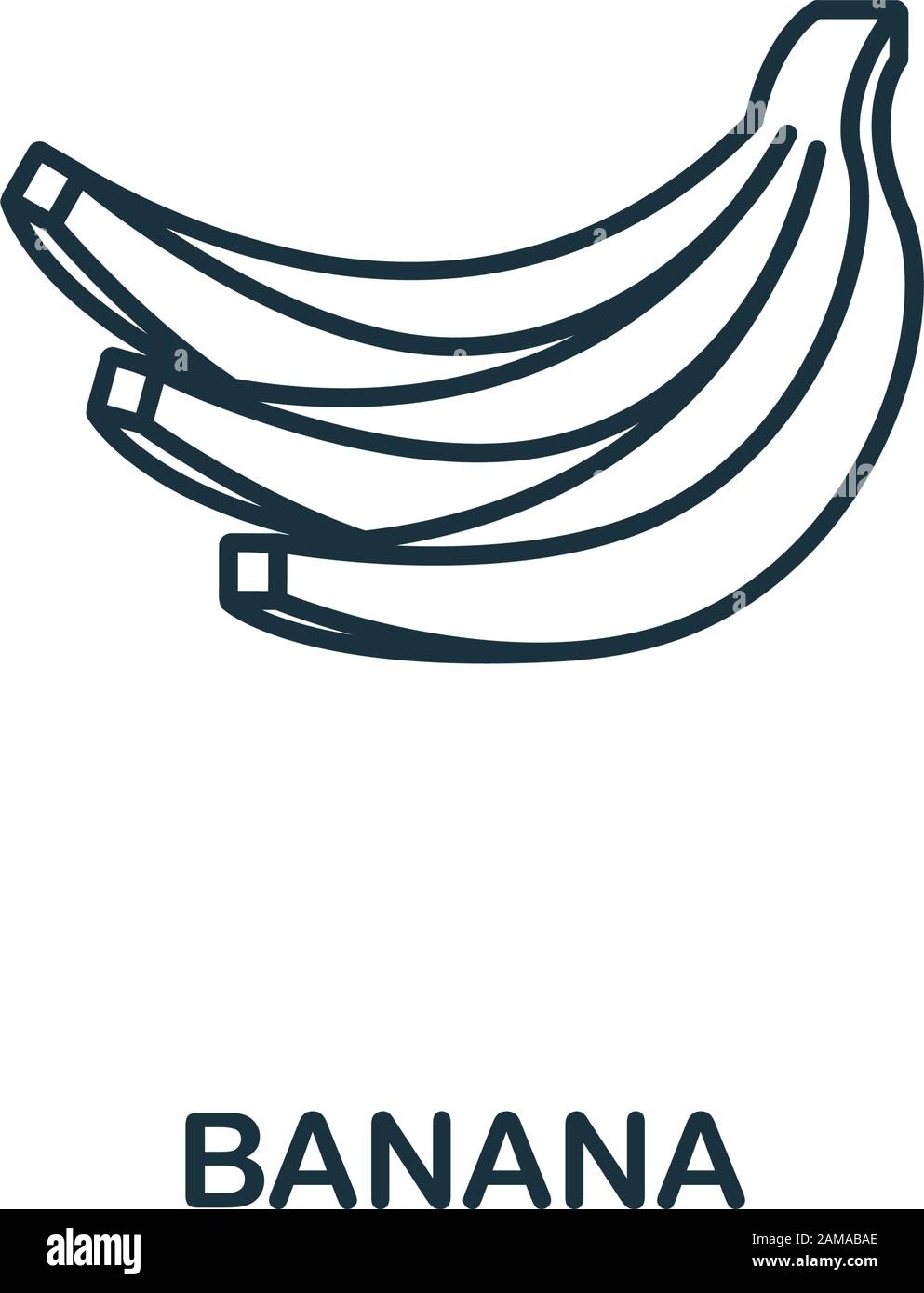 Banana icon from fruits collection. Simple line element banana symbol