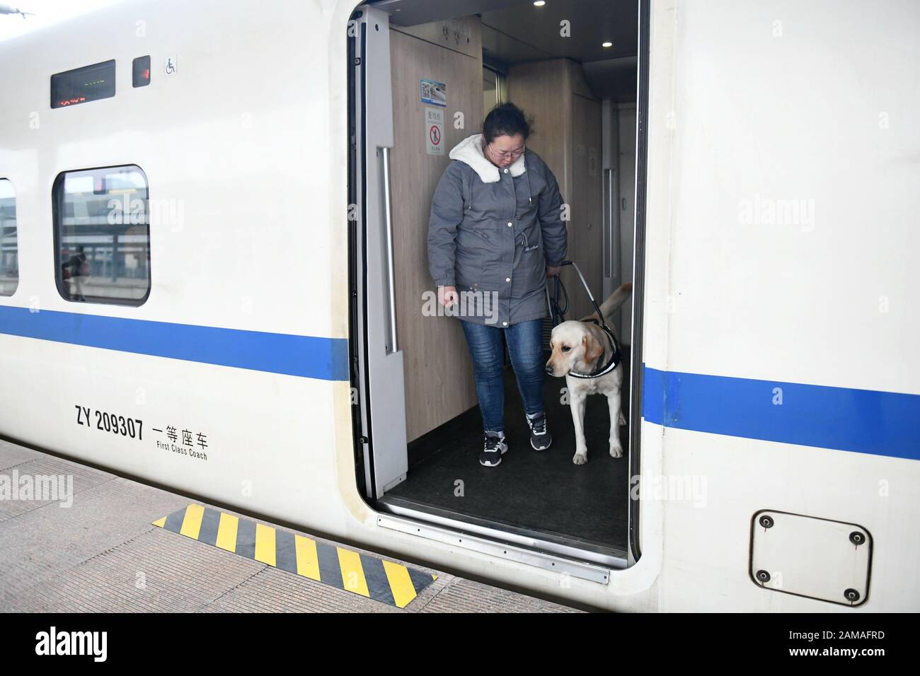 Can Dogs Go In First Class On Trains