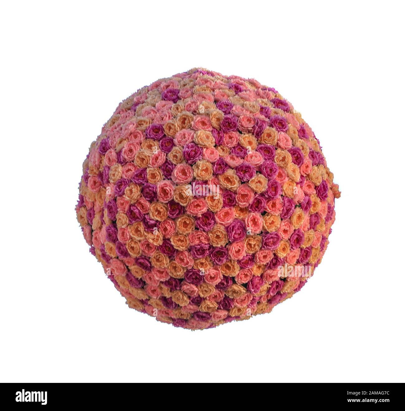 Ball of multi-colored roses on a white background Stock Photo