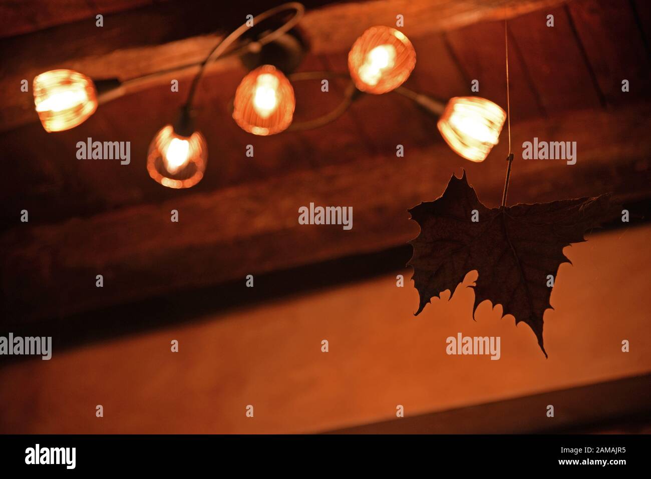 Decorative leaf hanging from the ceiling next to light fixture. Concept: interior decoration. Stock Photo