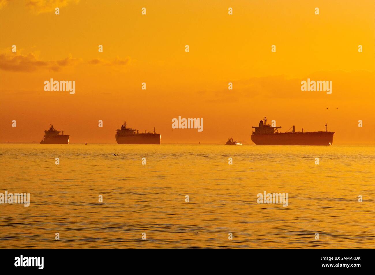 Ships waiting at anchor in Gulf of Mexico at sunrise, before entering Galveston Bay on their way to Port of Houston, Texas, USA Stock Photo