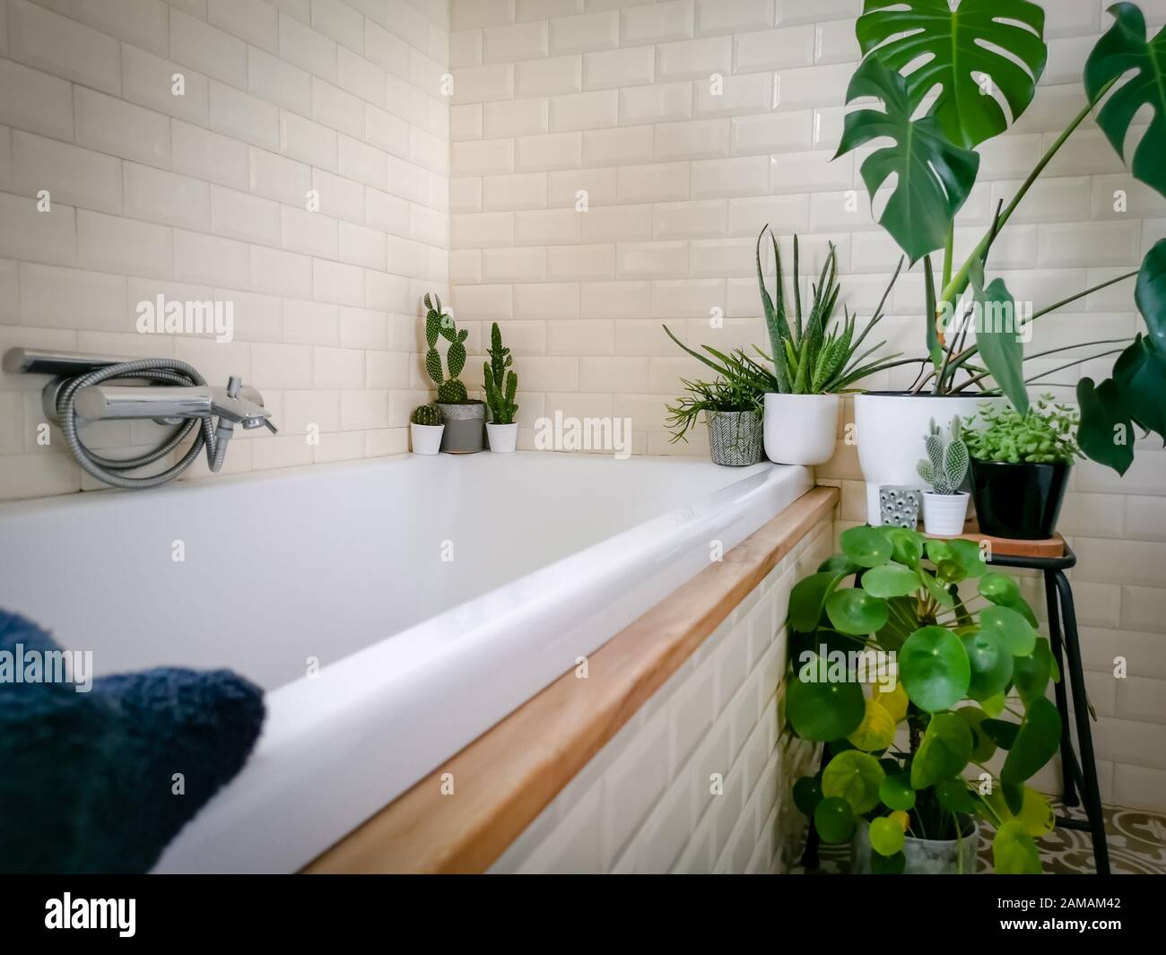 Bright bathroom with subway tiles and a large variety of green potted plants such as a pancake plant and swiss cheese plant creating a green oasis Stock Photo