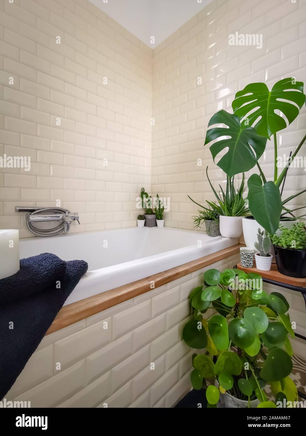 Bright bathroom with subway tiles and a large variety of green potted