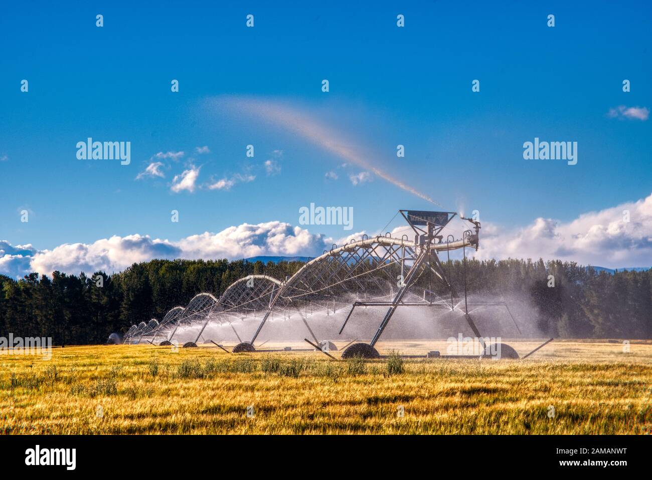 Giant irrigation water sprinklers on pasture land near Ashburton, New Zealand Stock Photo