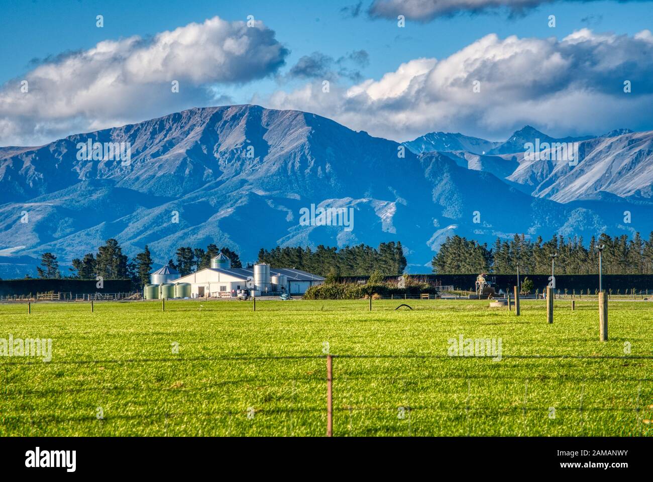 Farmstead, Canterbury Plains, Ashburton, New Zealand Stock Photo