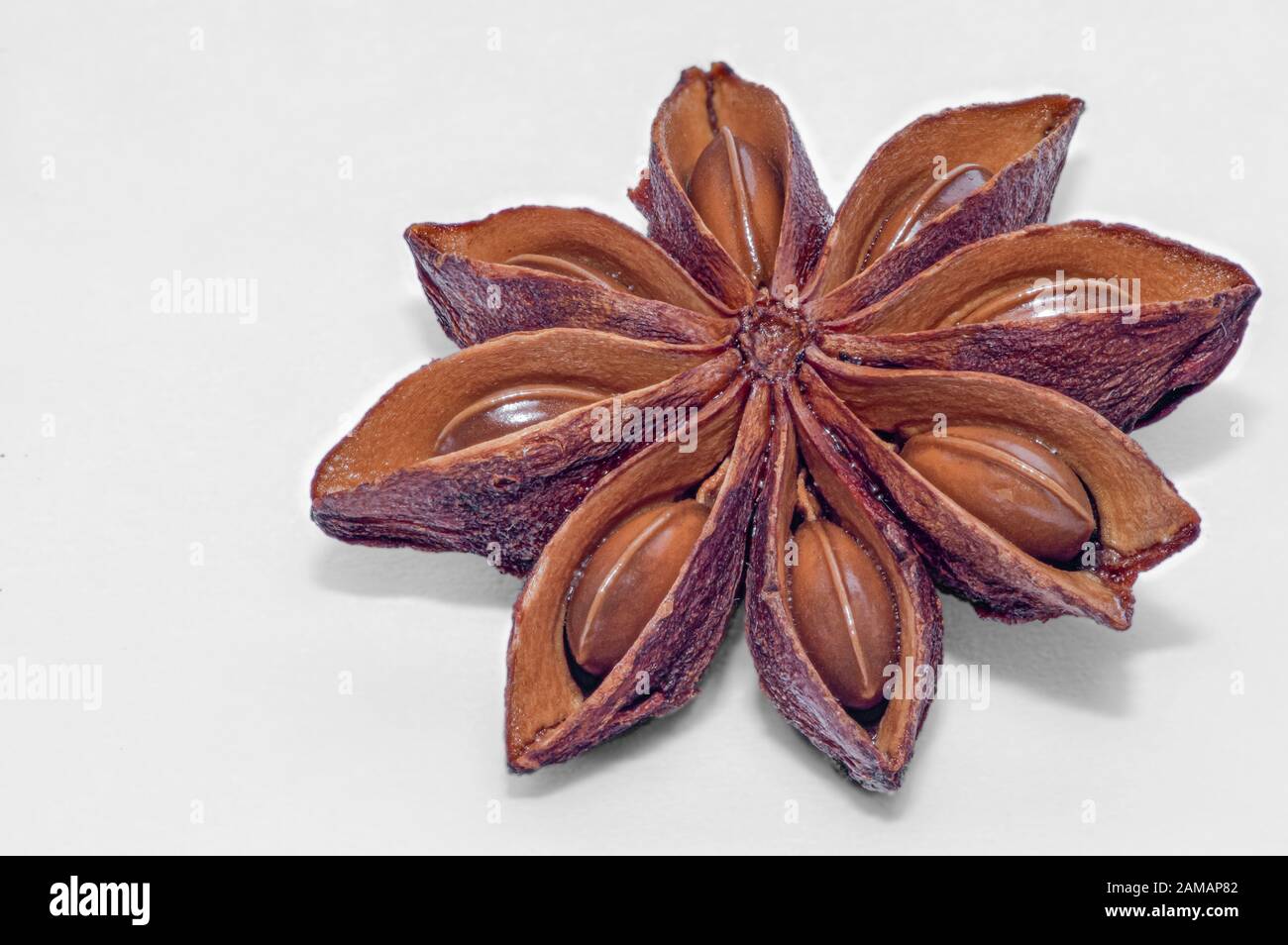 Closeup of Star Anise, seed capsule of an evergreen shrub, used for
