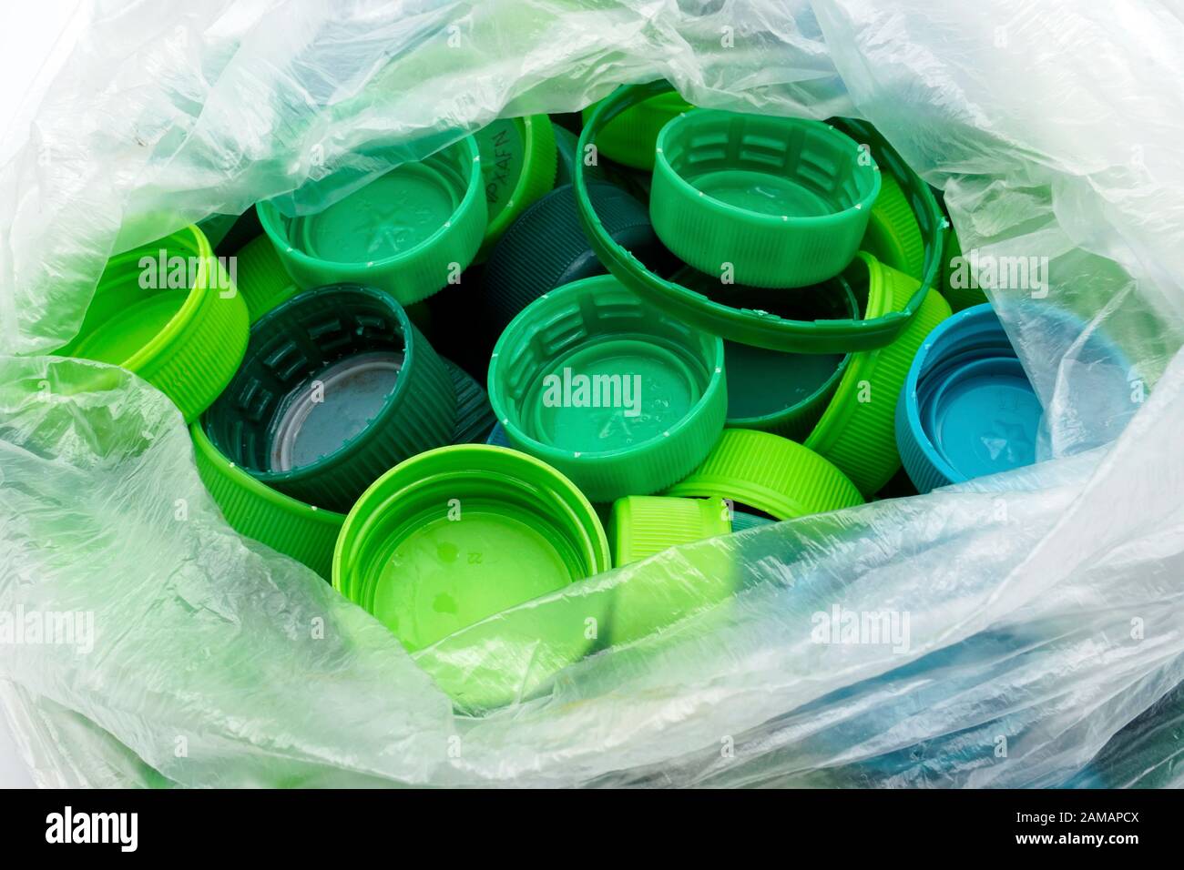 Green plastic bottle caps sorted by colors in transparent single use plastic bags. PP an PET pollution. Recycling solutions for plastic waste. Stock Photo