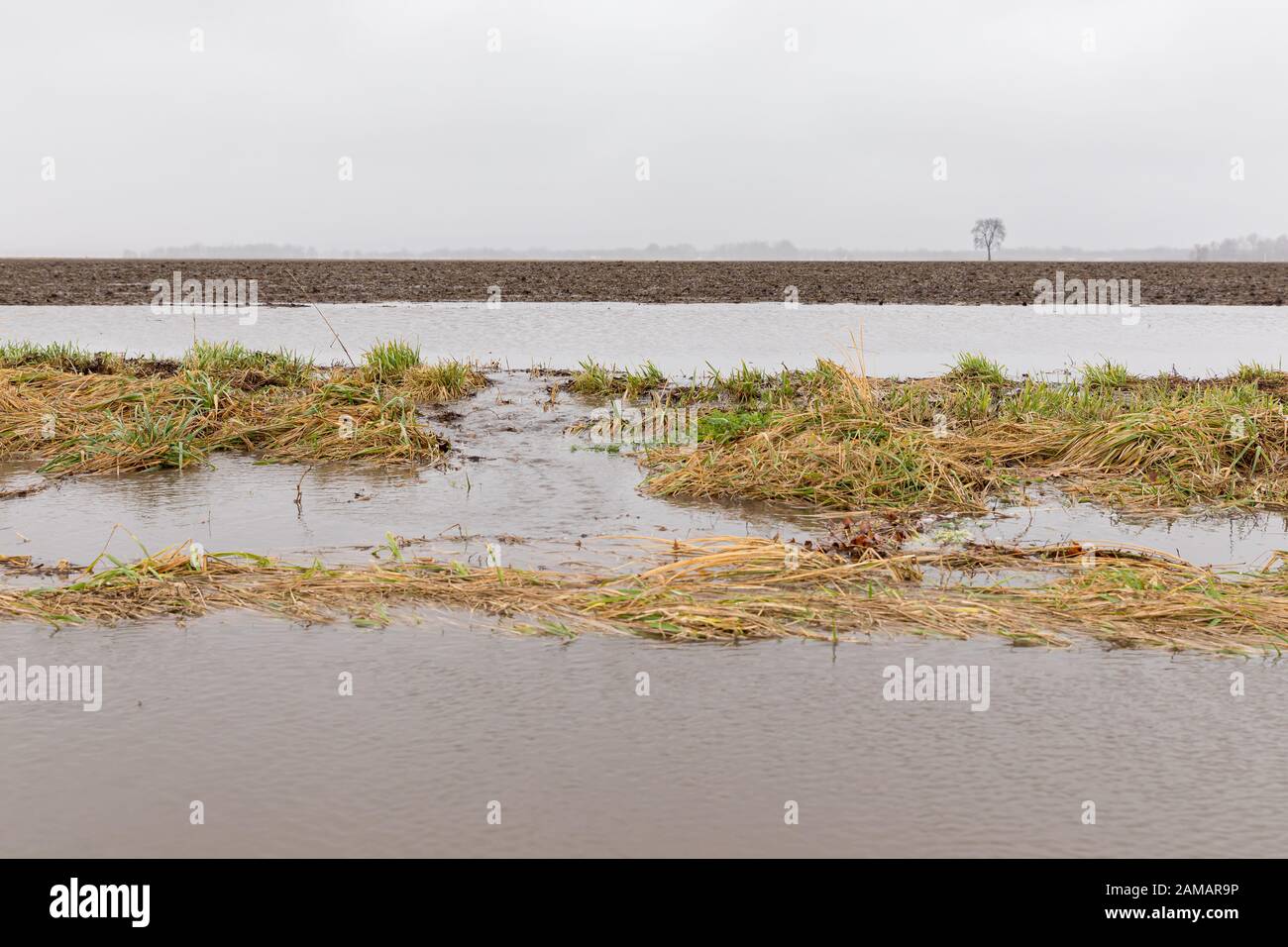 January storms with heavy rain caused flash flooding in farm fields, overflowing ditches and soil erosion from flowing water runoff Stock Photo