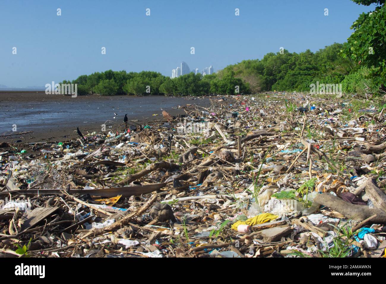 Plastic waste, trash and pollution on Panama Bay wetlands beach, RAMSAR site, low tide, January 13, 2020 Stock Photo