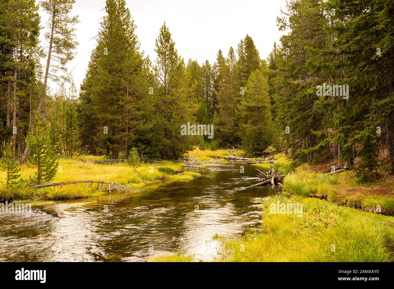 Fluß im Yellowstone Nationalpark Stock Photo