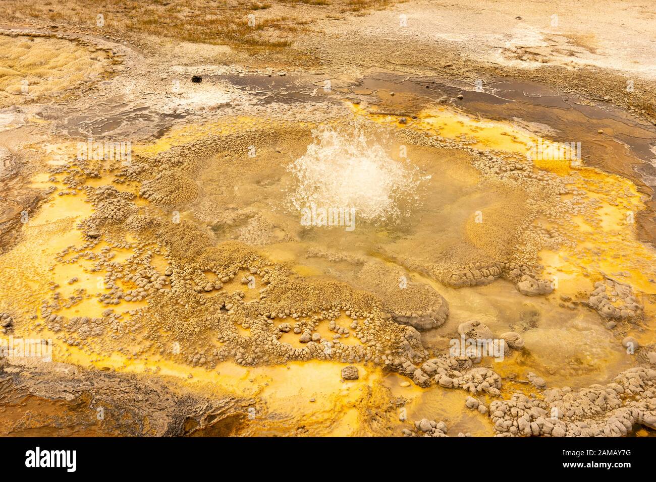 Heiße Quelle im Yellowstone Nationalpark Stock Photo