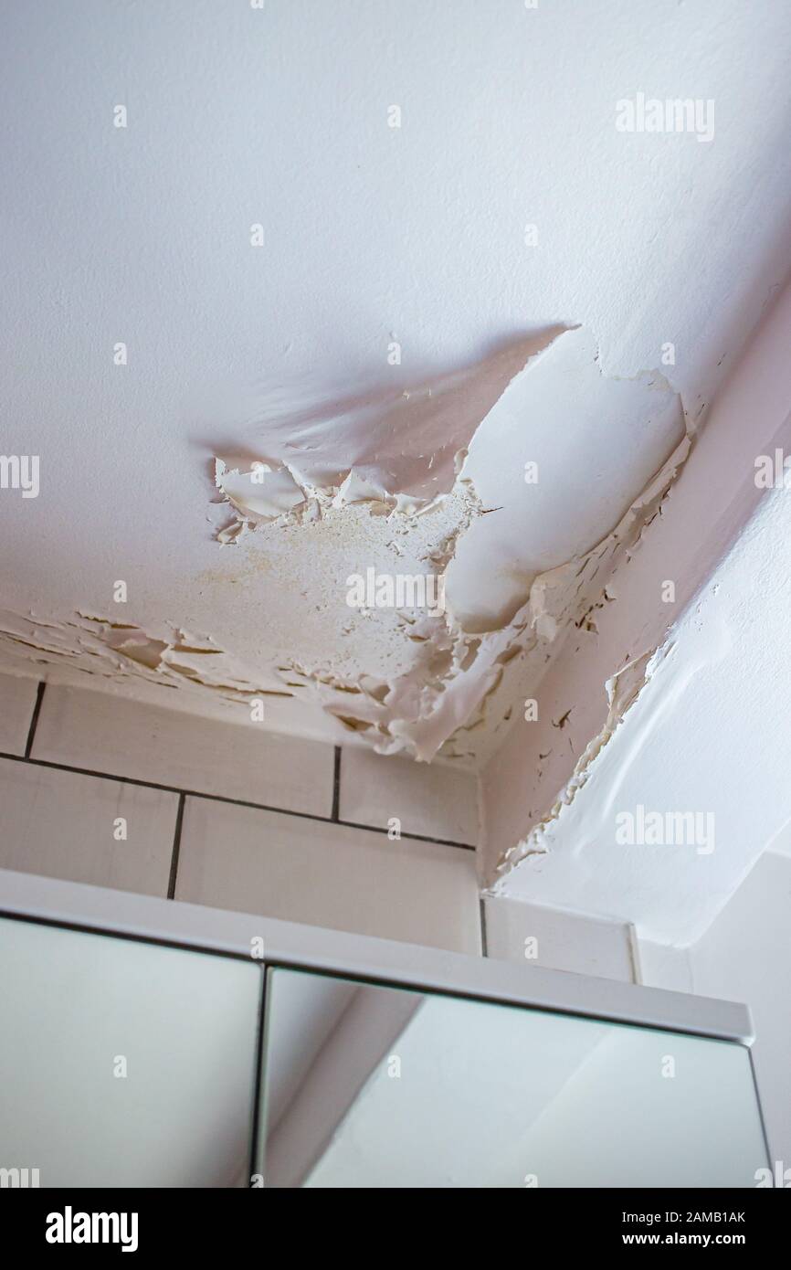 Peeling bathroom ceiling paint caused by excess moisture and condensation Stock Photo