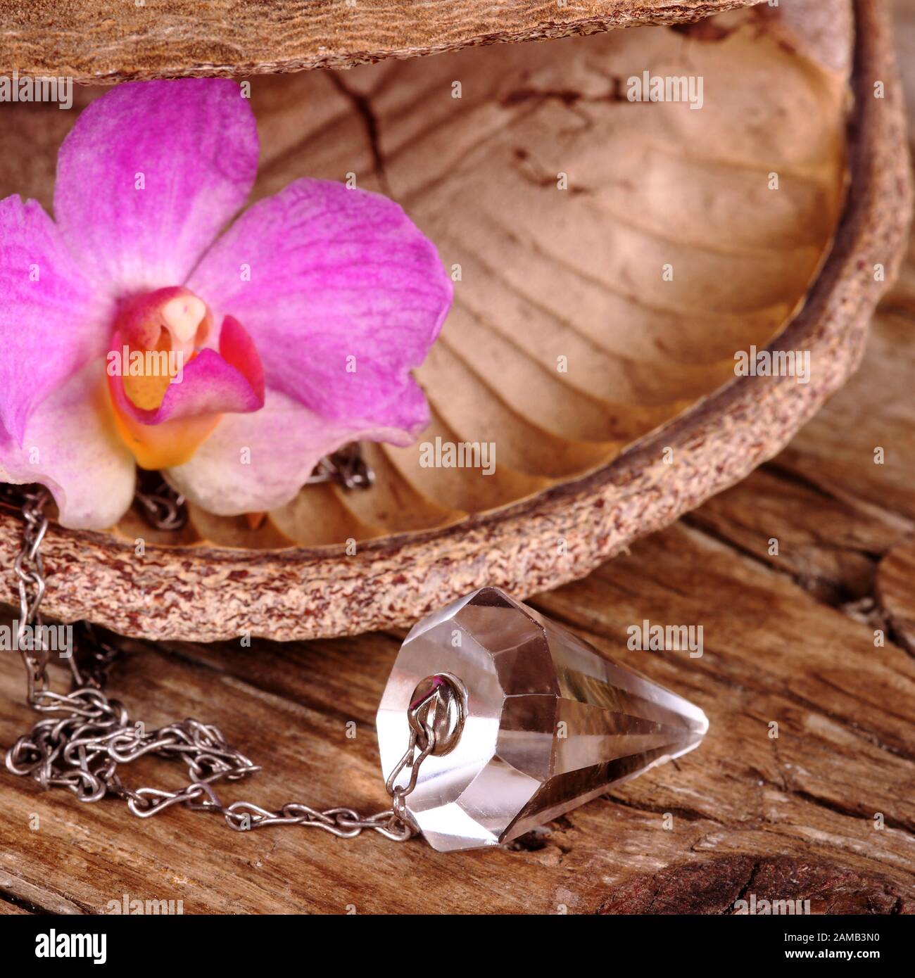 Crystal pendulum on wood with single orchid blossom Stock Photo