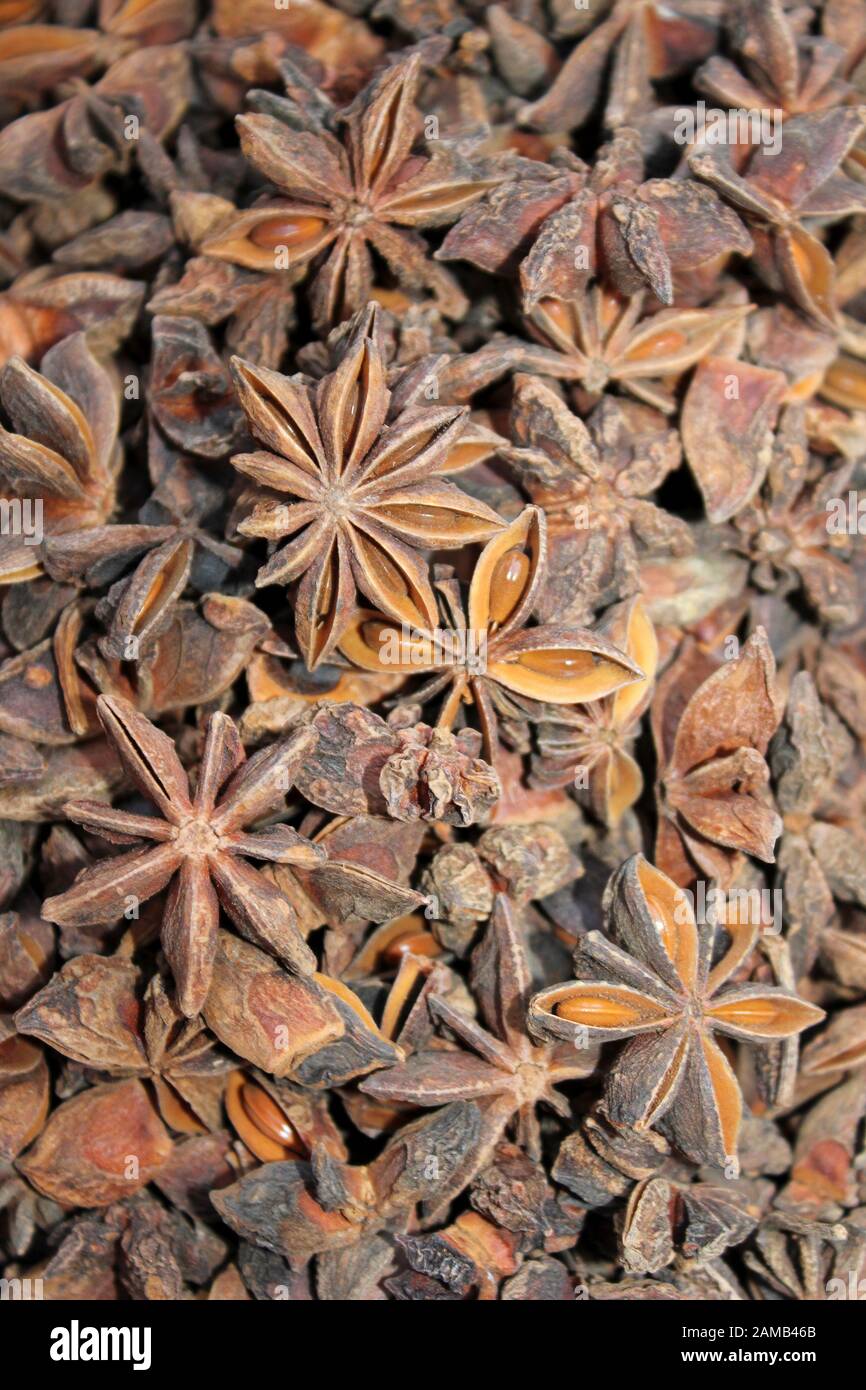 Star anise plant hires stock photography and images Alamy