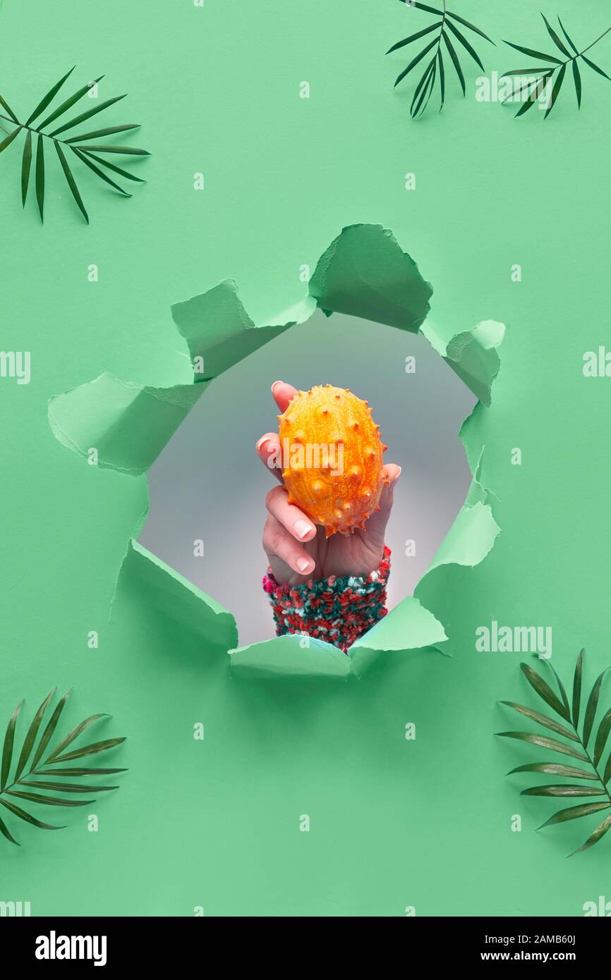 Kiwano, small exotic orange spiky fruit in human hand showing the fruit out of paper hole in tropical green geometric background with palm leaves Stock Photo