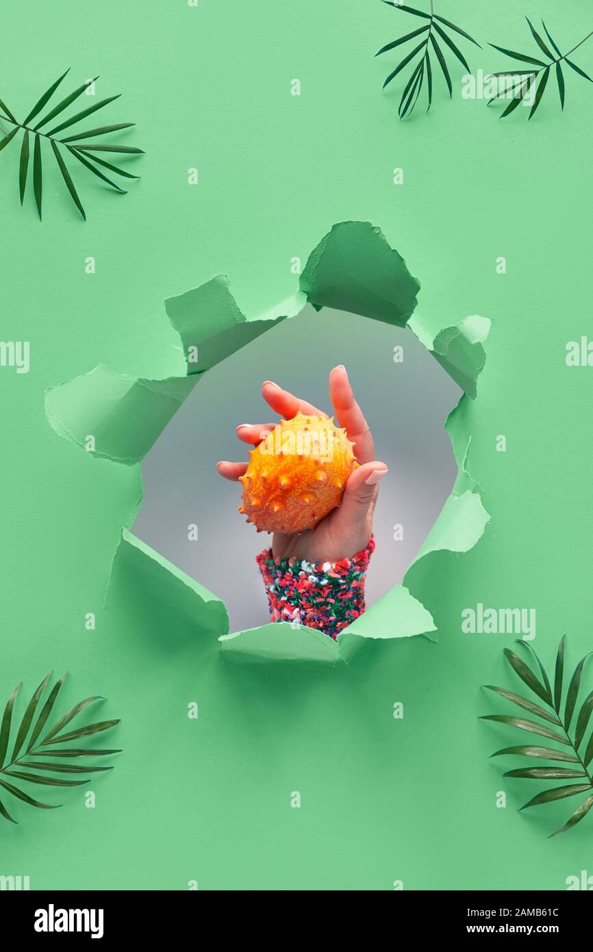 Kiwano, small exotic orange spiky fruit in human hand showing out of paper hole in tropical trendy biscay green geometric background with palm leaves Stock Photo