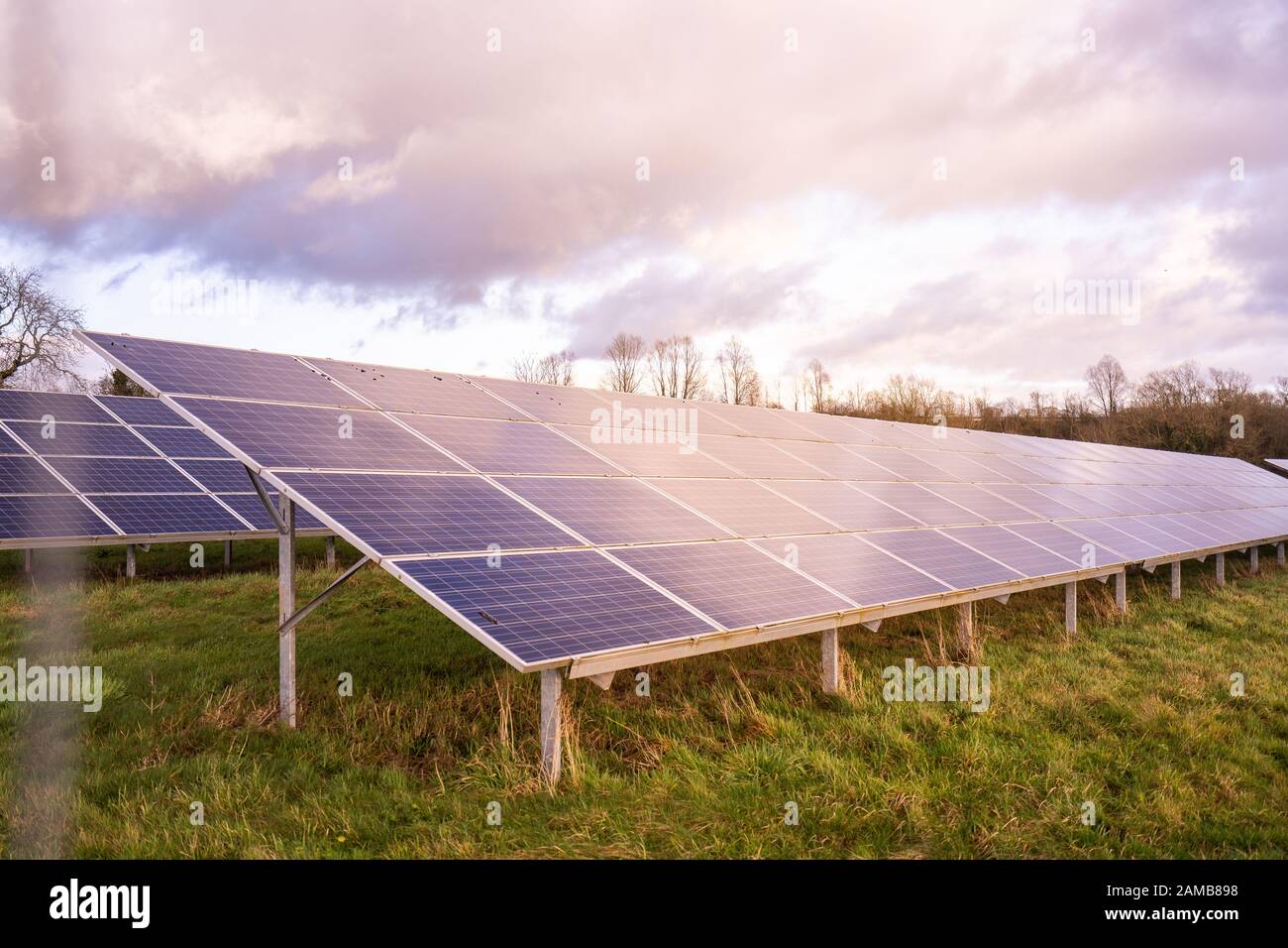 Ground view of a solar farm in Staffordshire, renewable, sustainable energy due to climate change, natural energy Solar panels in the countryside Stock Photo