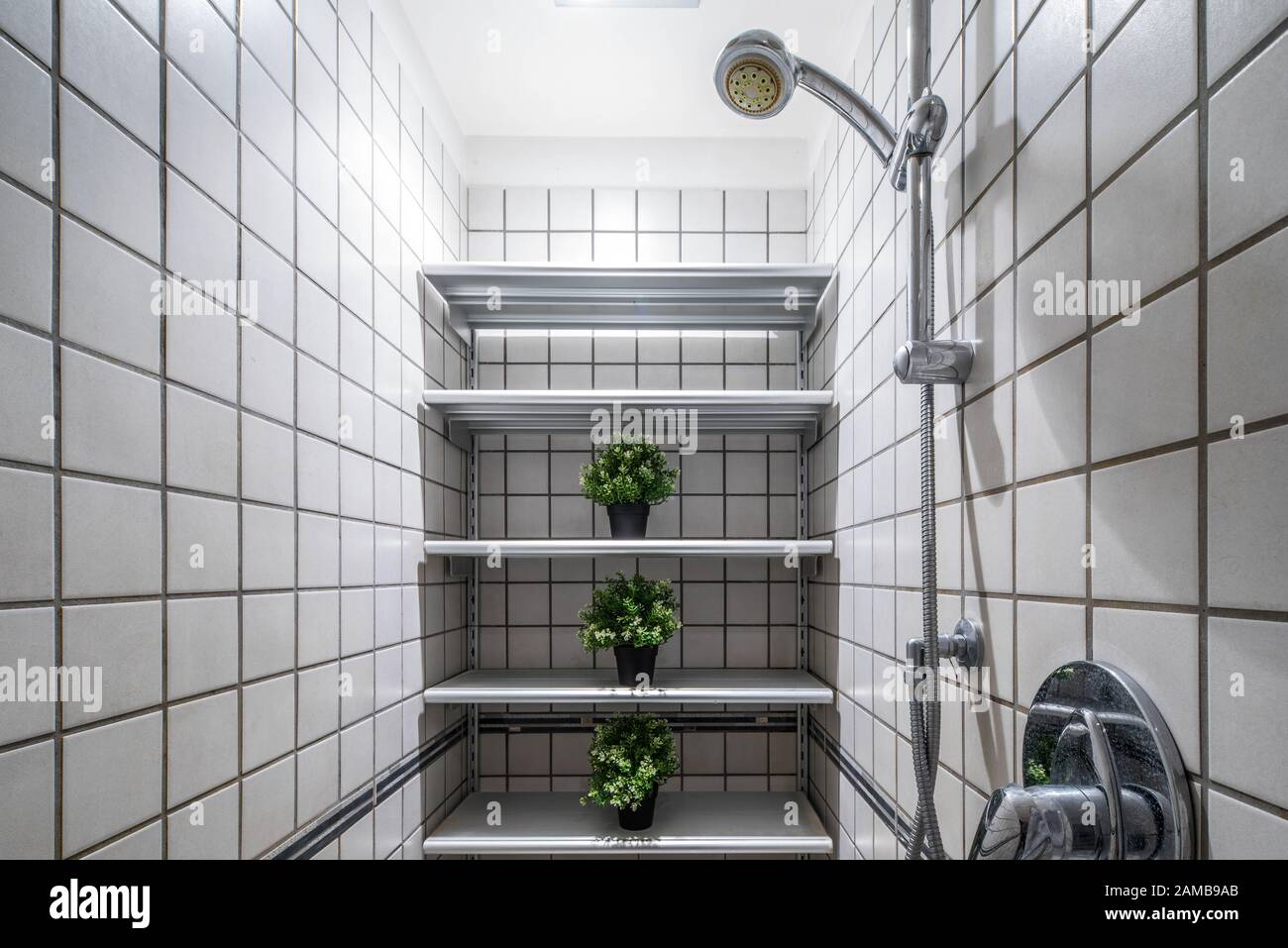Modern interior of bathroom. Shelves with green flowers. Shower Stock ...