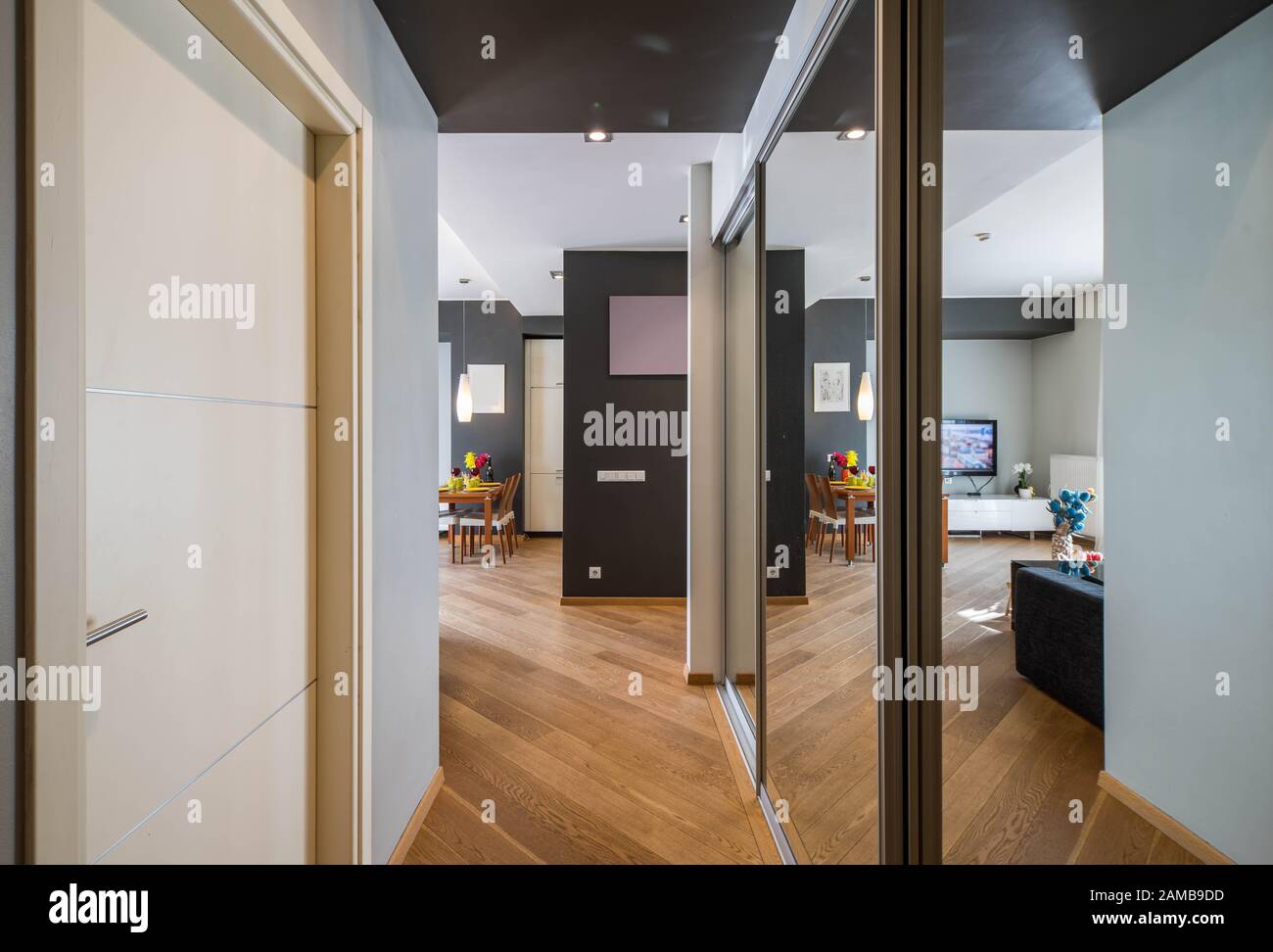 Modern Apartment Mirror Sliding Wardrobe In The Hall White