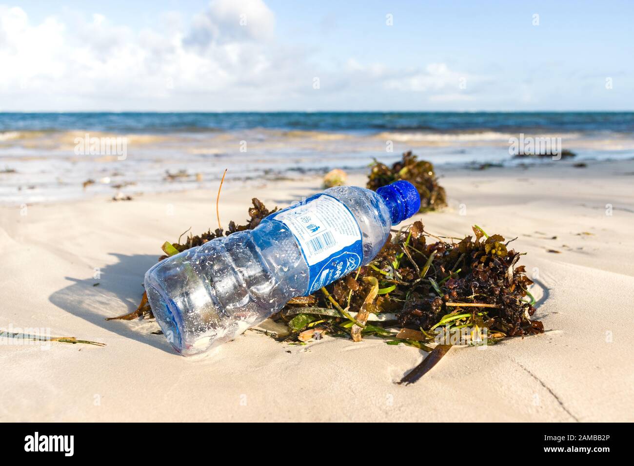 A discarded plastic bottle lying on seaweed on a sandy beach Stock Photo