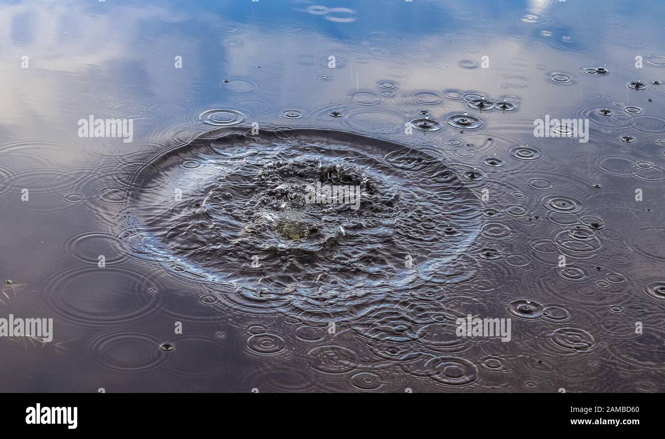 Beautiful water waves and ripples from a drop falling into a water ...