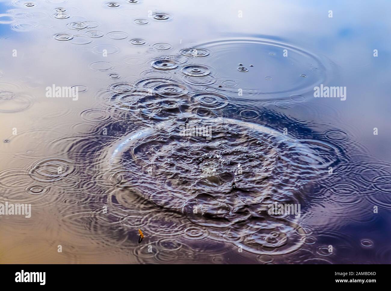 Beautiful water waves and ripples from a drop falling into a water ...
