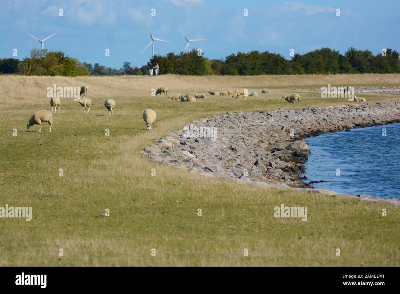 some days on Fehmarn, Germany Stock Photo