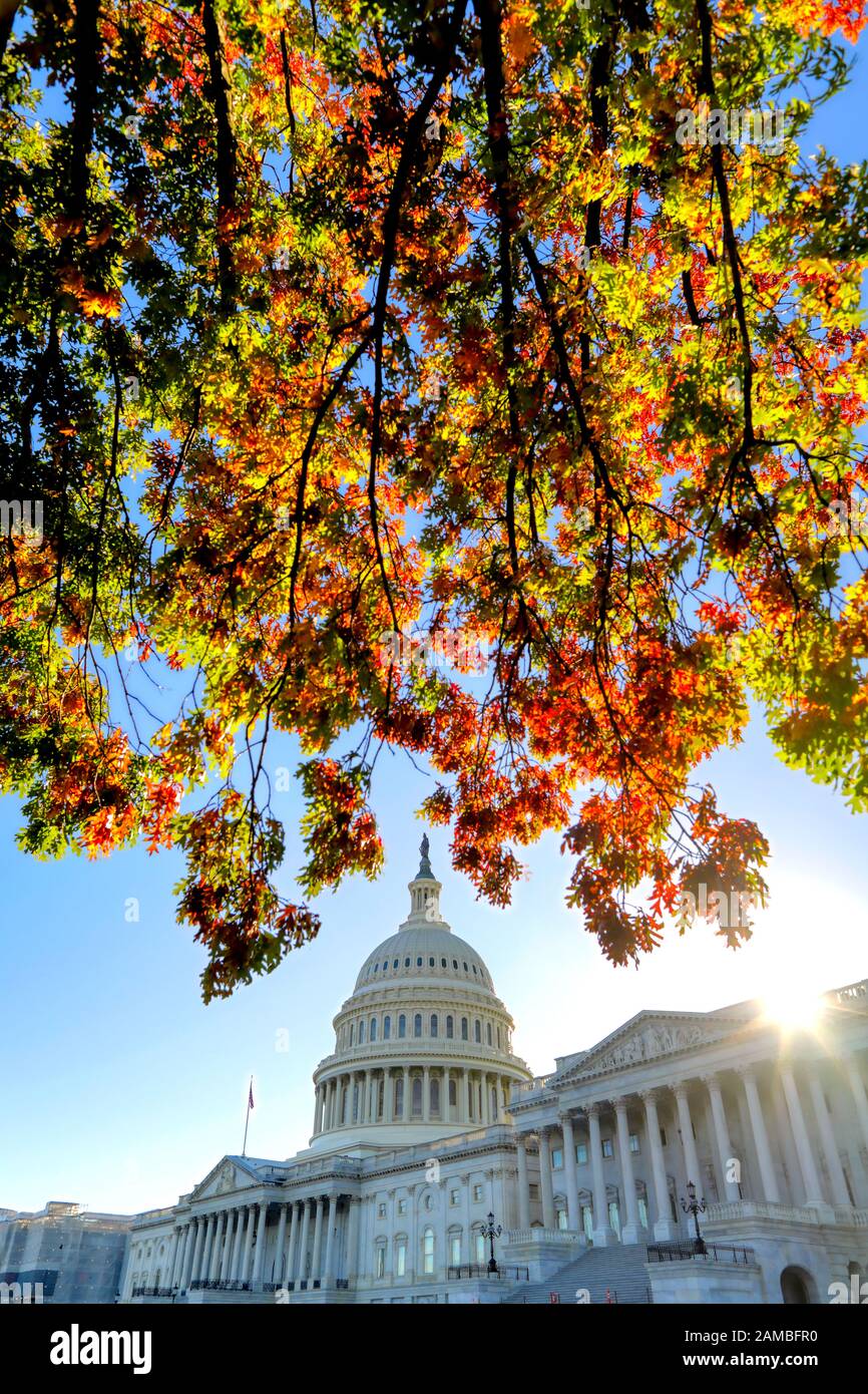 The United States Capitol Building in Washington, DC. Stock Photo