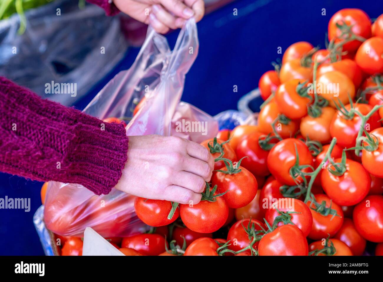 Choosing very delicious vegetable tomato from a pile in a grocery Stock Photo