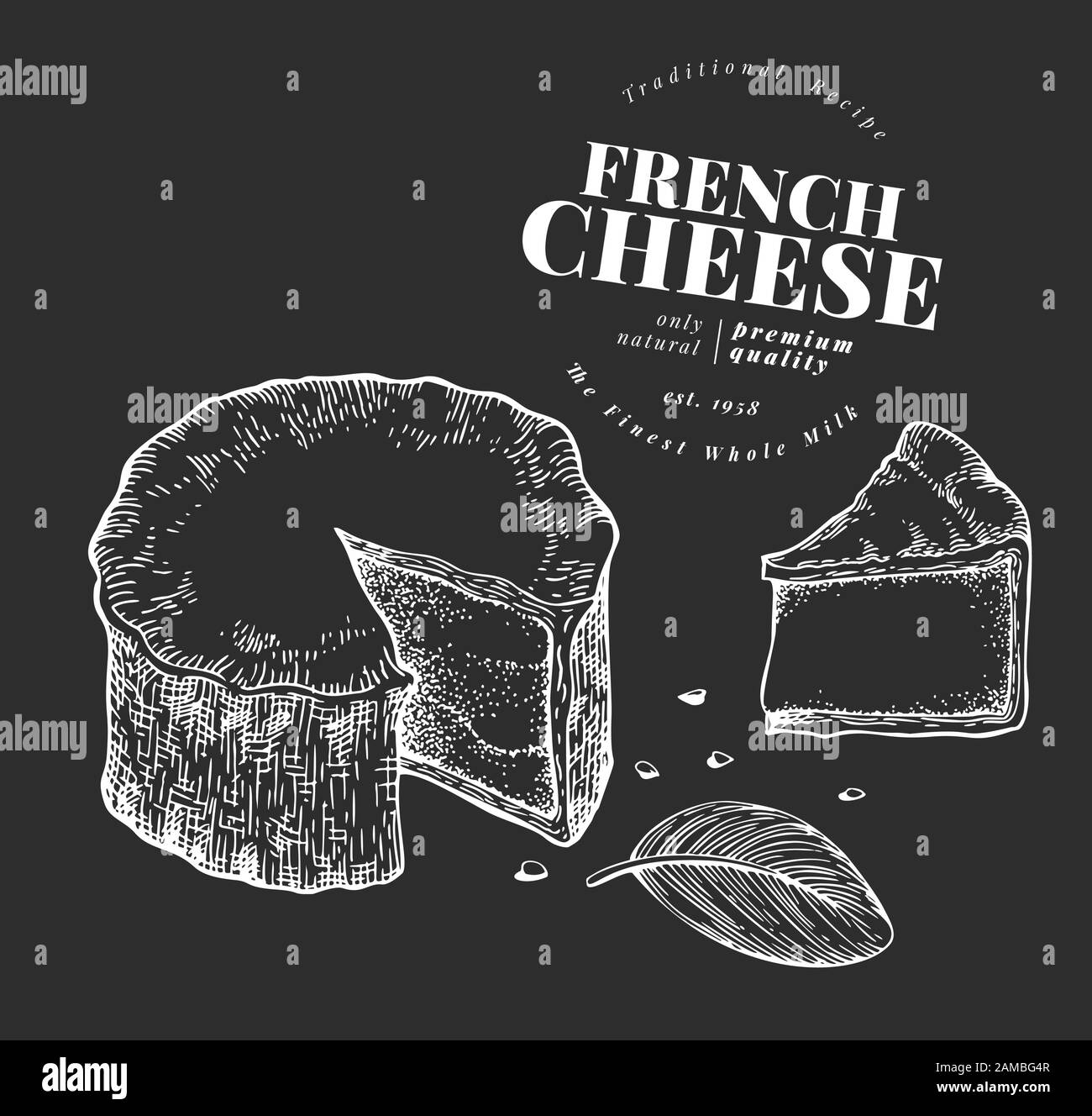 French cheese illustration. Hand drawn vector blue cheese illustration. Engraved style camembert. Retro brie cheese illustration. Stock Vector