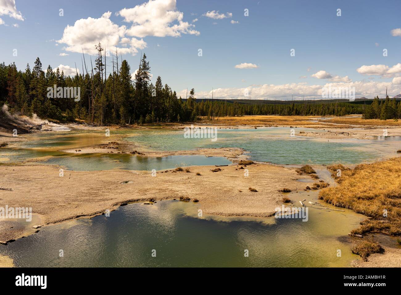 Landschaft im Norris Geyser Basin Yellowstone Nationalpark Stock Photo