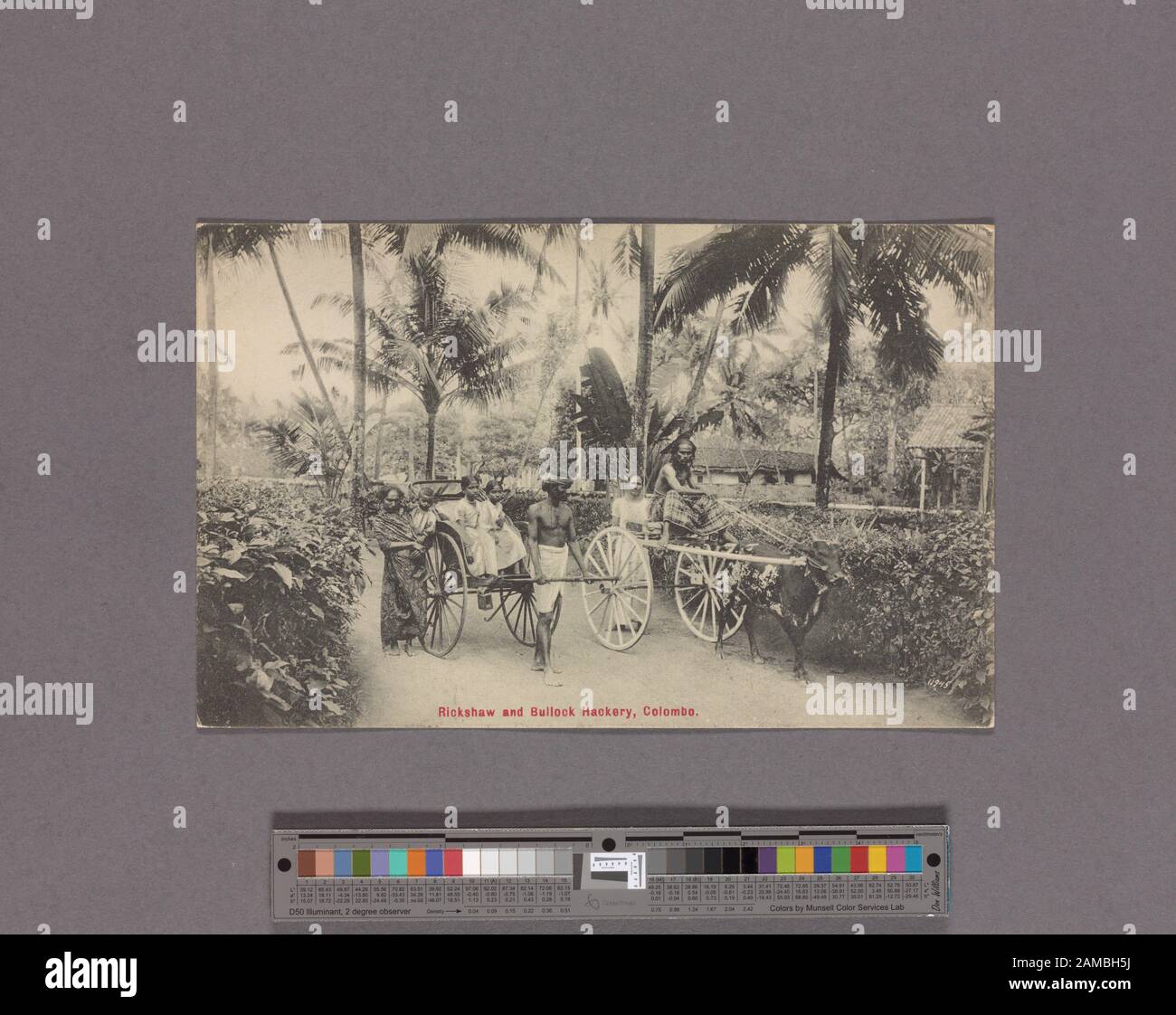 Rickshaw and bullock hackery, Colombo Rickshaw and bullock hackery ...