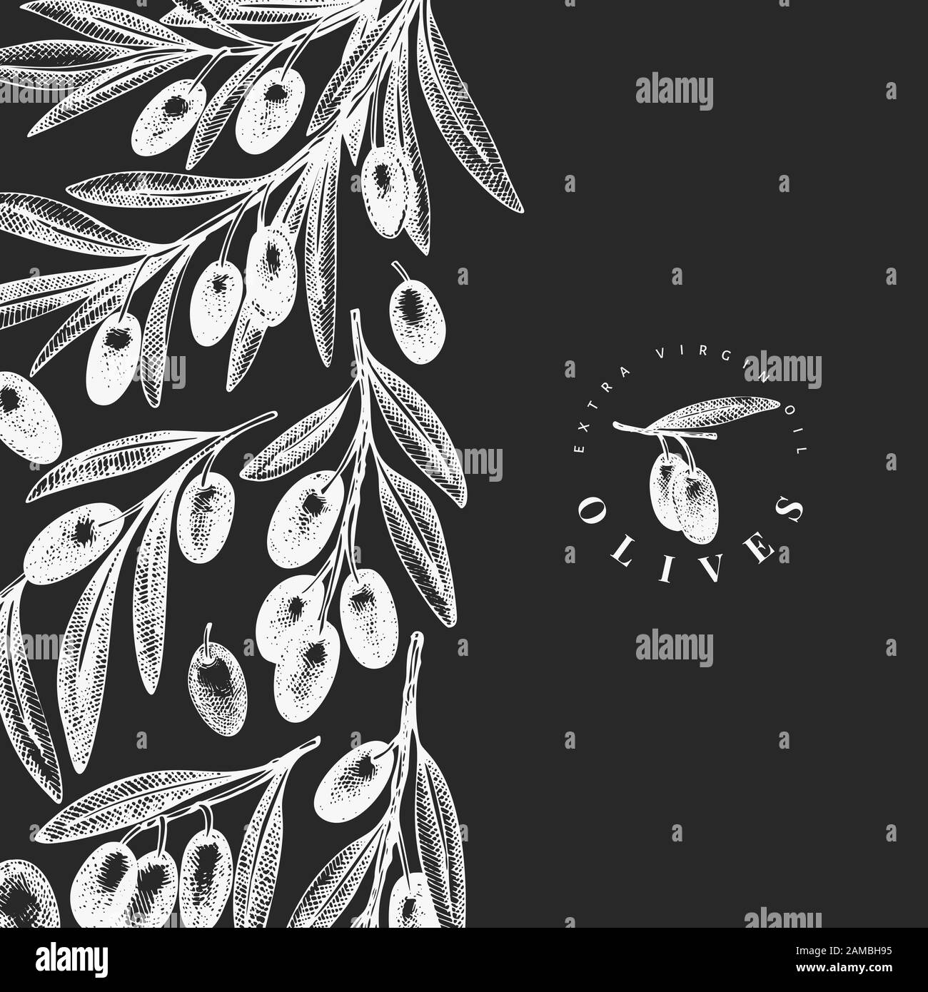 Olive branch design template. Hand drawn vector food illustration on ...