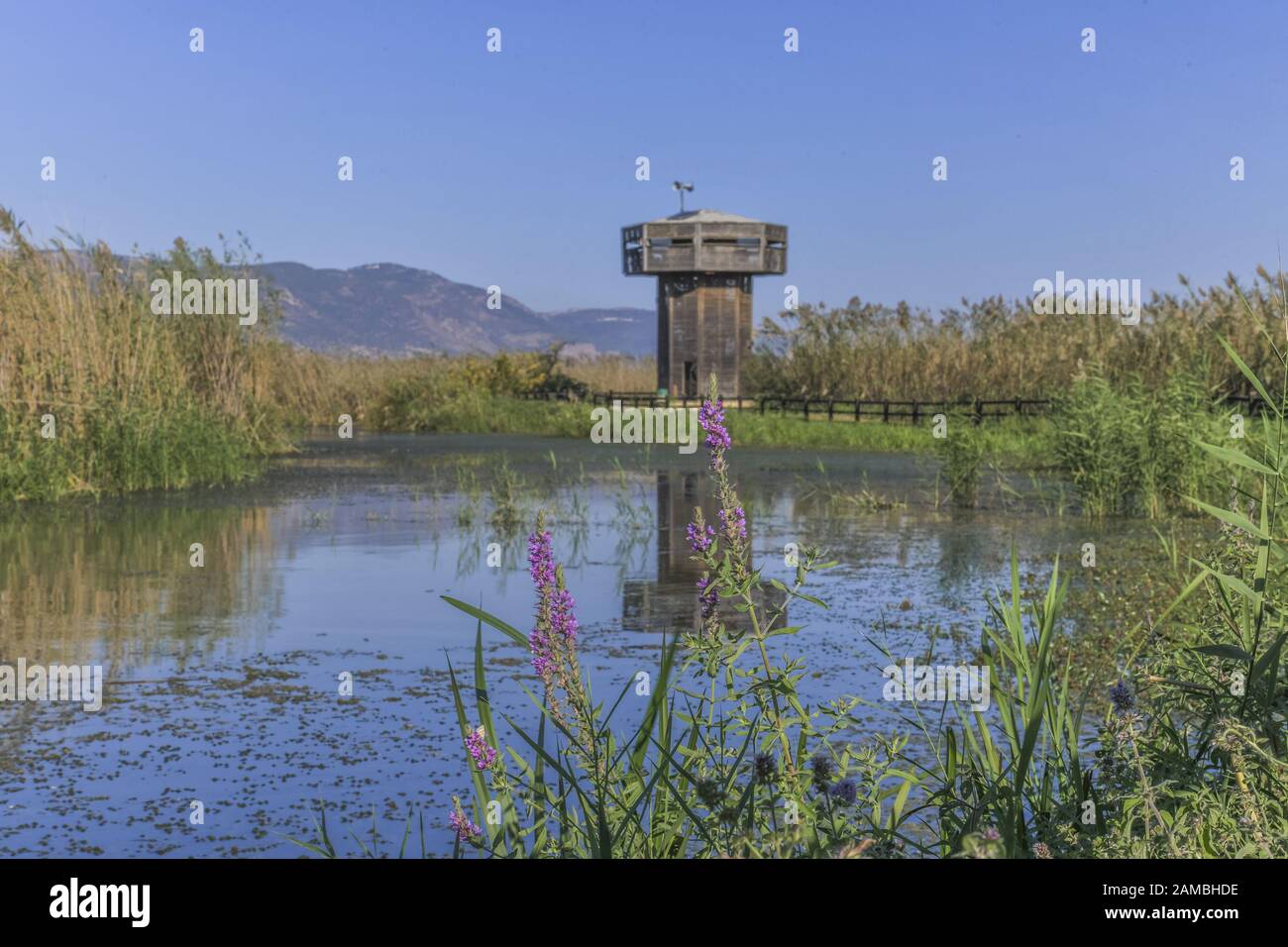 Aussichtsturm, Naturschutzgebiet Hula, Israel Stock Photo