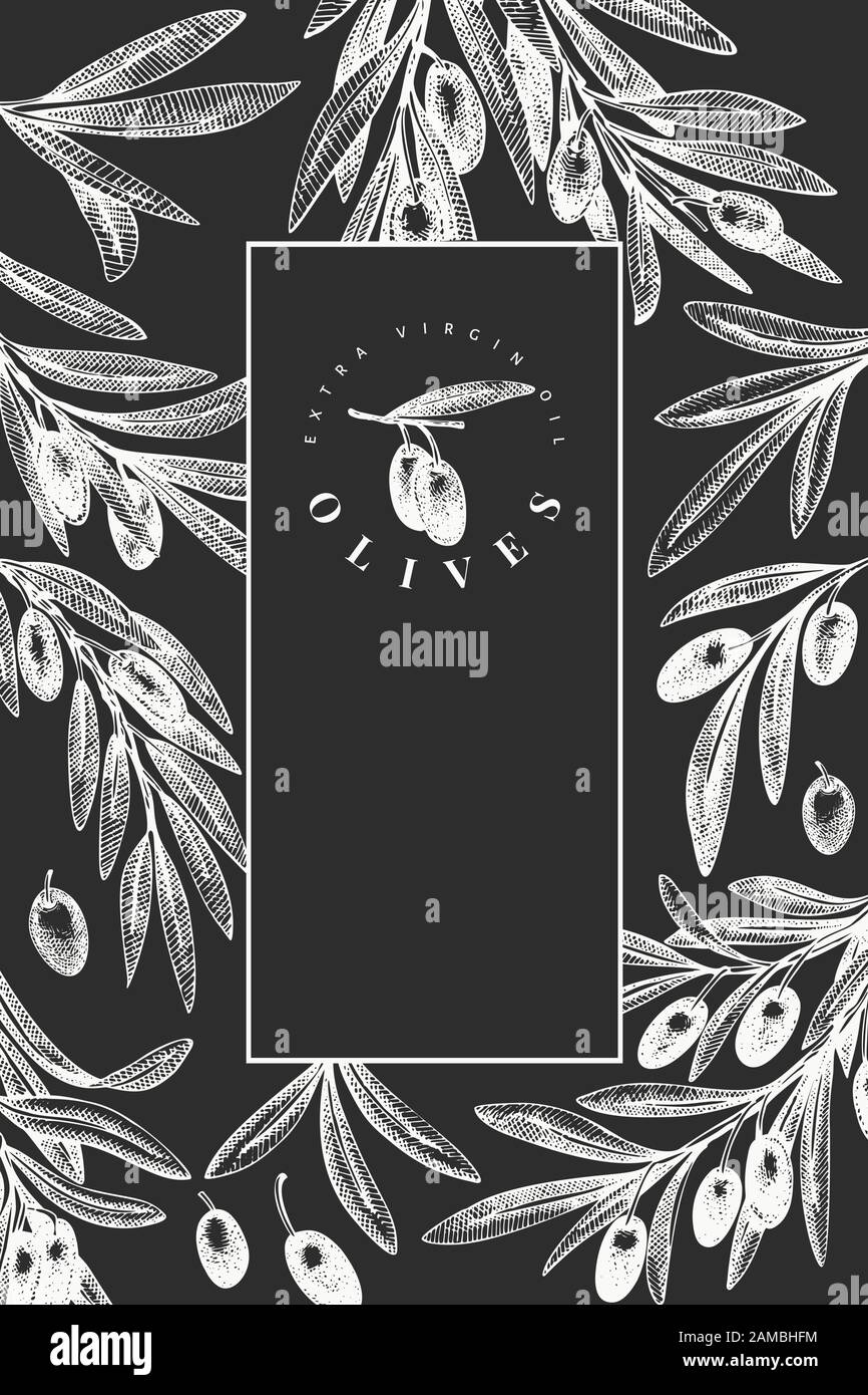 Olive branch design template. Hand drawn vector food illustration on ...