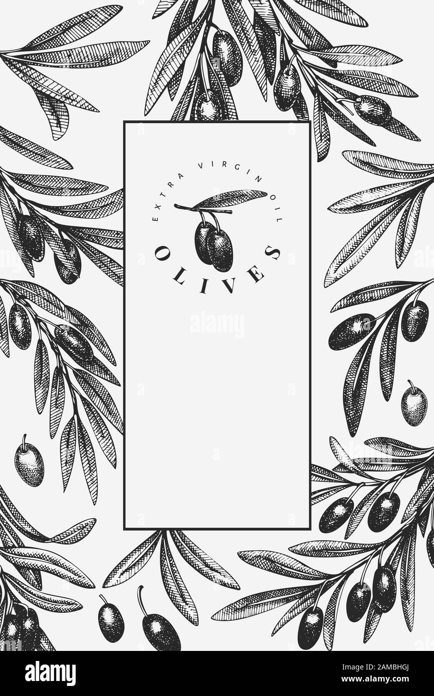 Olive branch design template. Hand drawn vector food illustration ...