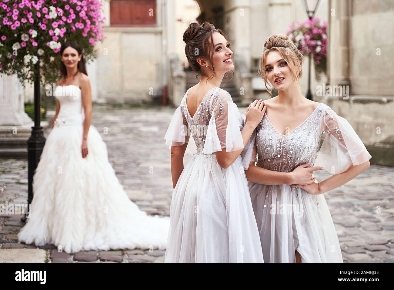 Beautiful bride and bridesmaids in gorgeous elegant stylish light grey ...