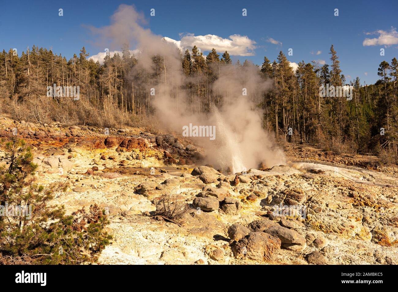 Geysire im Yellowstone Nationalpark Stock Photo