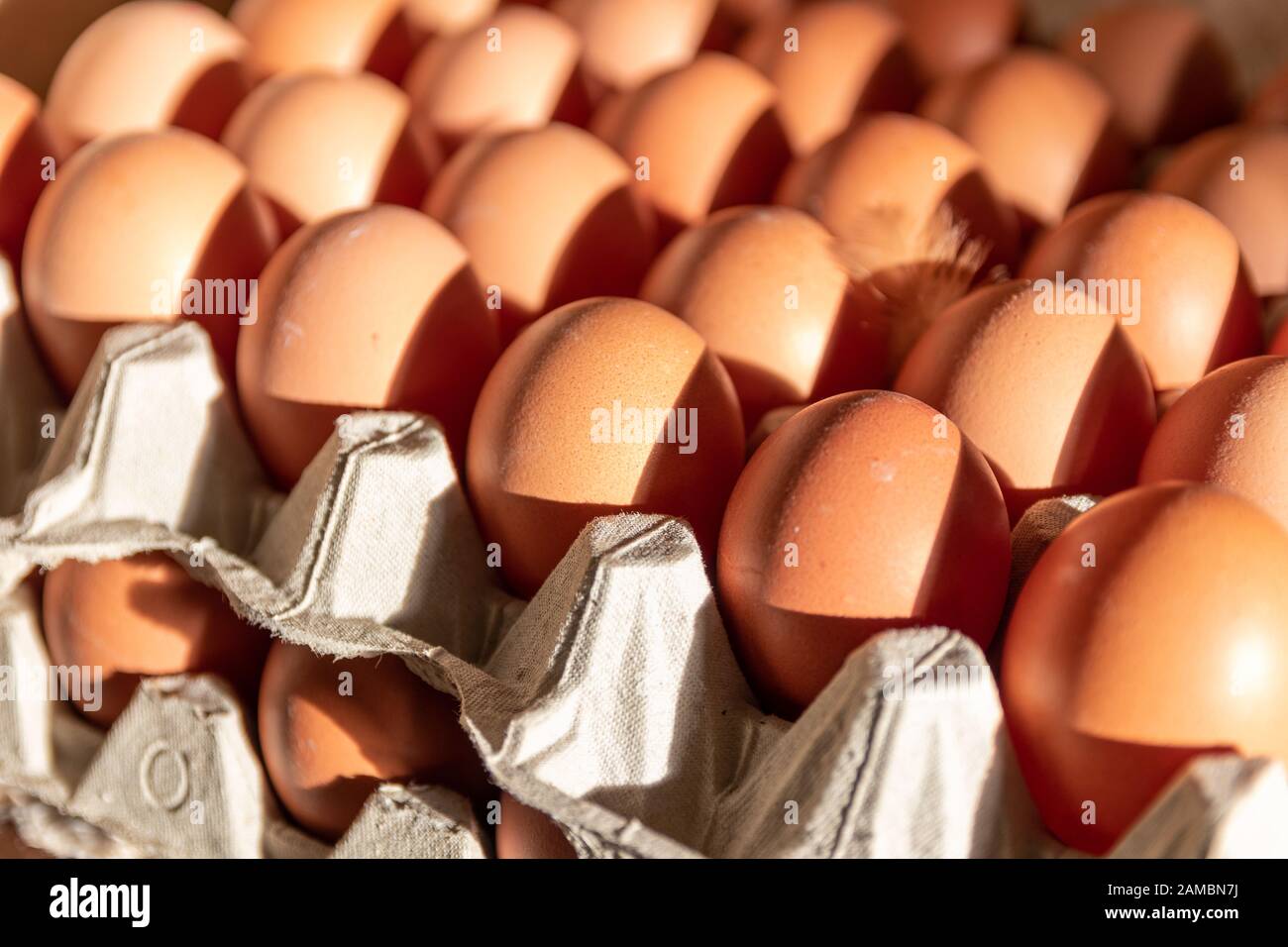 Stacked trays of farm fresh eggs Stock Photo Alamy