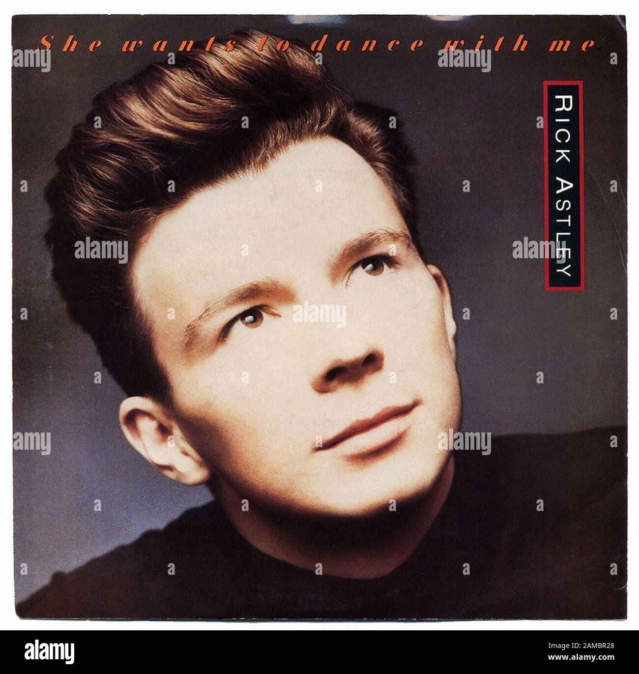 Rick Astley She Wants To Dance With Me Classic Vintage Vinyl Album Rick Astley She Wants To Dance With Me Classic Vintage Vinyl Album