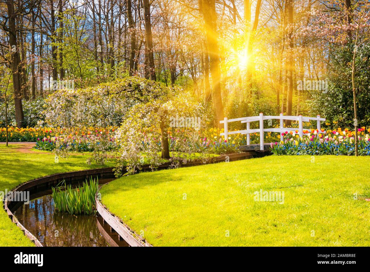 Spring Background. Spring Flowers. Beauty natural background Stock ...