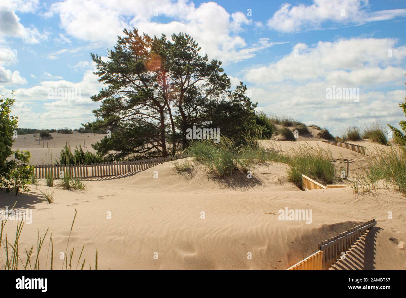 Dune in Yyteri Beach of Pori, Finland Stock Photo