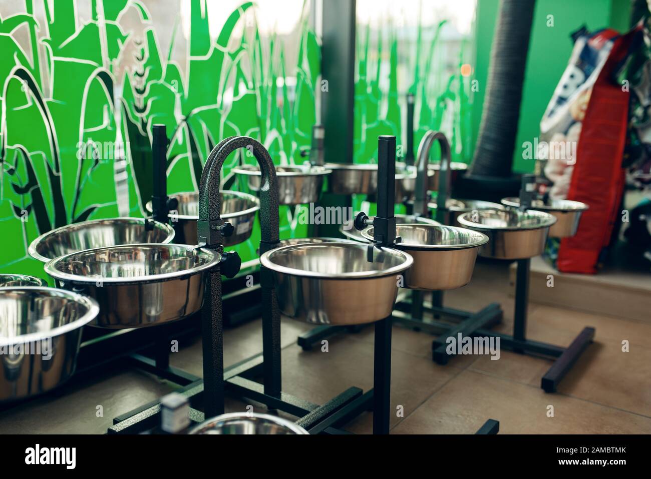 Dog bowls variety on showcase in pet store Stock Photo Alamy