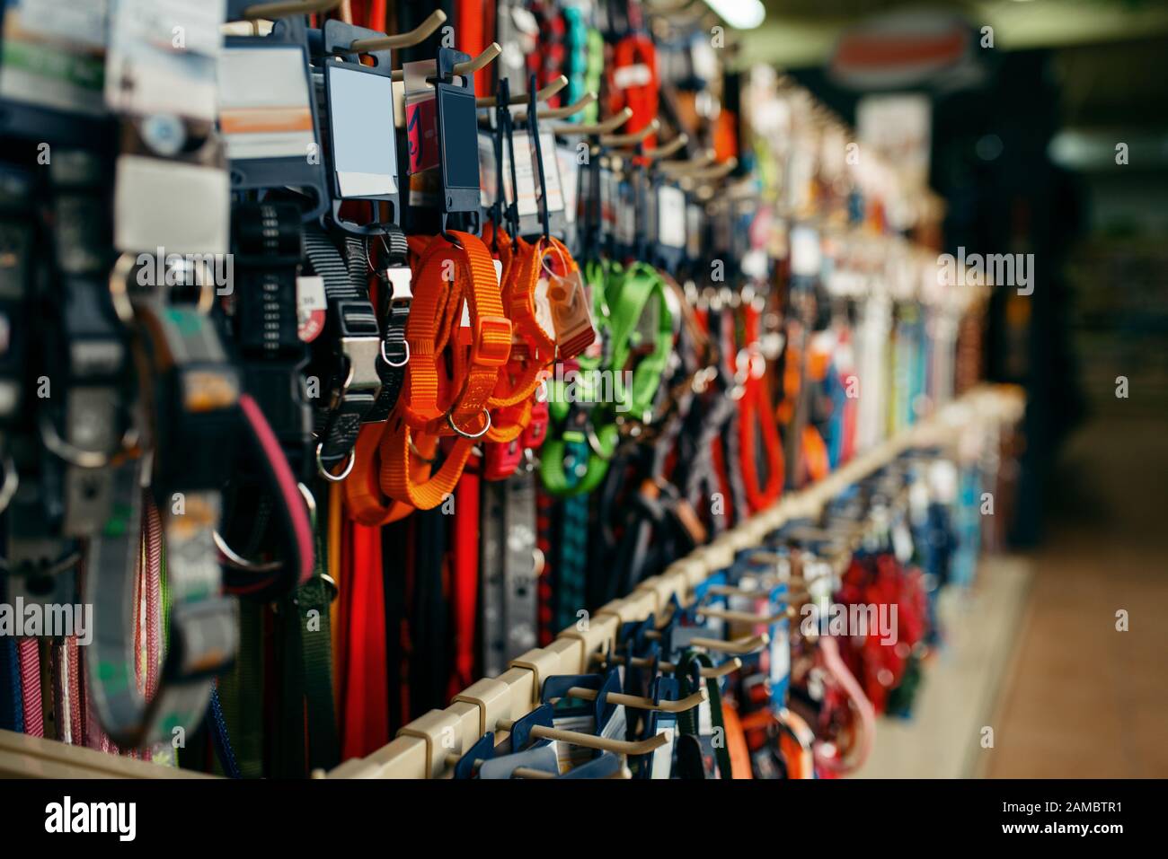 Leashes and collars variety on showcase, pet store Stock Photo Alamy