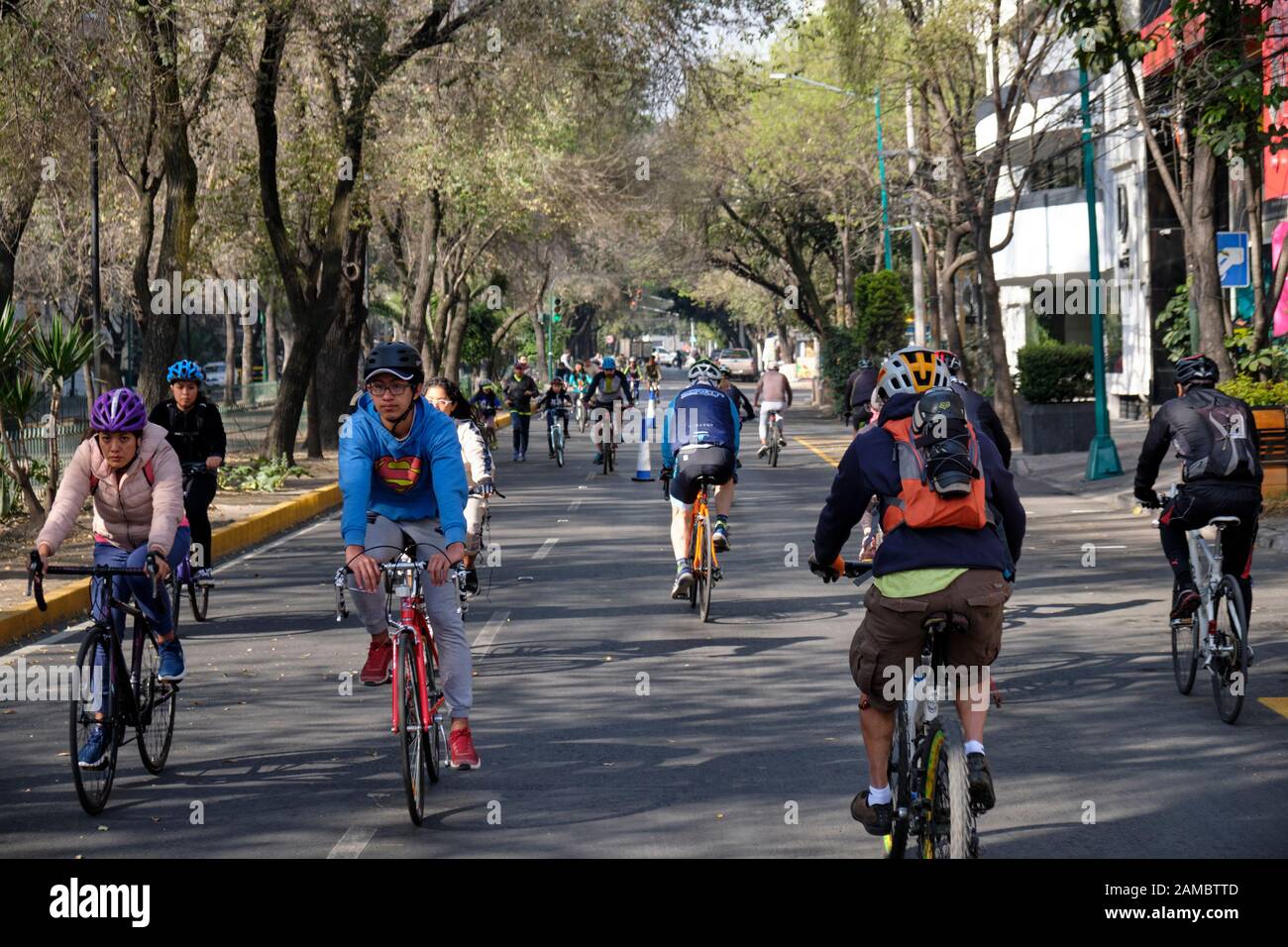 Mexico City, Mexico.  January 12th, 2020. Cyclists on the tree lined traffic free streets of La Condesa neighbourhood.  “Muevete en Bici” is a government-backed initiative that aims to promote a healthy and active lifestyle for residents of Mexico City. Cyclists, joggers, families and even their dogs take over the otherwise congested streets of the city every Sunday morning. Credit: meanderingemu / Alamy Live News Stock Photo