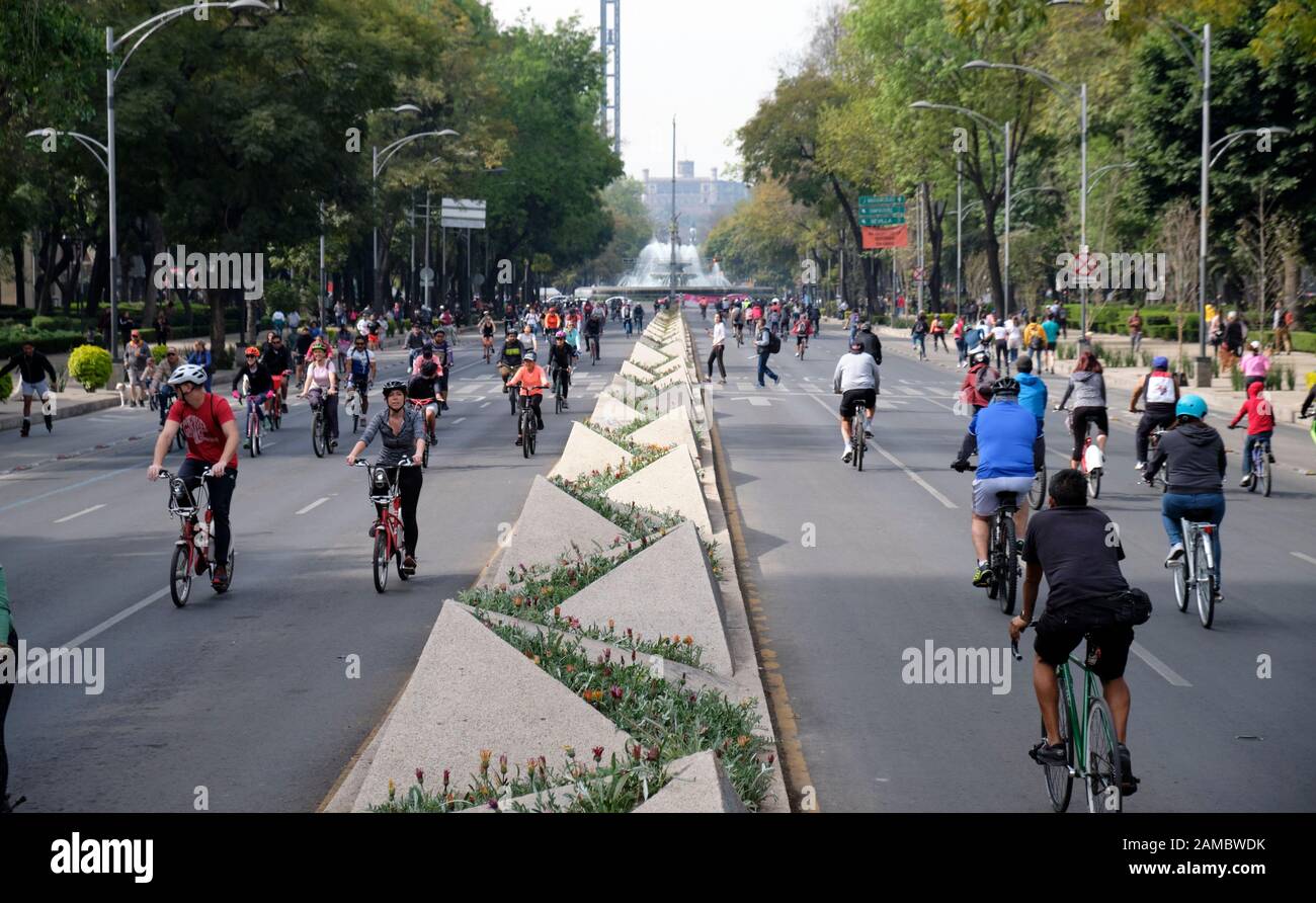 Mexico City, Mexico.  January 12th, 2020.   Cyclists on the traffic free Paseo de la Reforma on a sunny January sunday morning with the Diana the Huntress Fountain in background. “Muevete en Bici” is a government-backed initiative that aims to promote a healthy and active lifestyle for residents of Mexico City. Cyclists, joggers, families and even their dogs take over the otherwise congested streets of the city every Sunday morning. Credit: meanderingemu / Alamy Live News Stock Photo